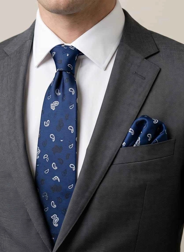 paisley navy tie