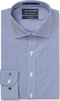 Van Heusen Shirt Blue Stripe